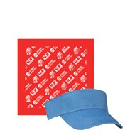 visors