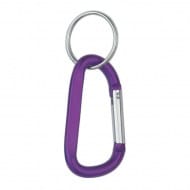 100-2082_purple.jpg