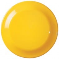100-707_yellow.jpg