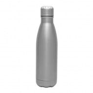 P650-Silver.jpg