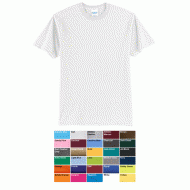 PC55-White