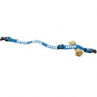 aptnl34coll-lightblue.jpg